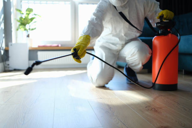 Reliable Biohazard contractor in Frazier Park, CA by Crime Scene Cleaner Online
